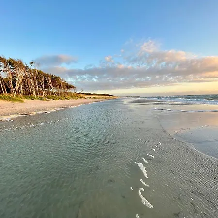 Kleines Boddenidyll *